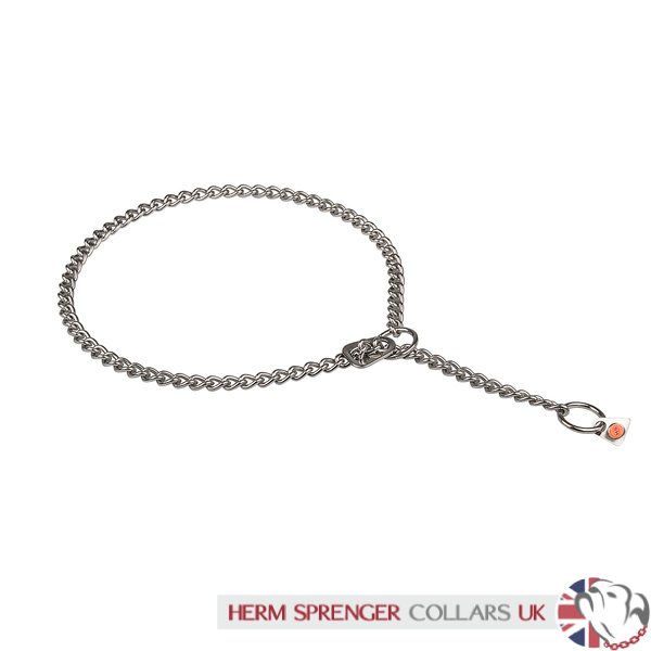 In werkelijkheid Gorgelen Kroniek Sprenger Roestvrije Staal Ketting Honden Halsband met Sluiting Verstelling  - €27.27