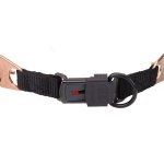 "Aggression Buster" 4 mm Curogan Herm Sprenger Prikband met Security Gesp_5