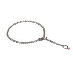 "Mr. Amazing" Roestvrije Staal Ketting Honden Halsband met Sluiting Verstelling, 2.5 mm