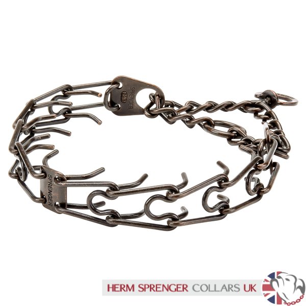 "Professor Brown" Herm Sprenger 3 mm Antique Metal Dog Collar