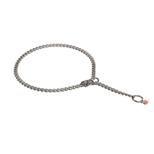 "Mr. Amazing" Roestvrije Staal Ketting Honden Halsband met Sluiting Verstelling, 2.5 mm